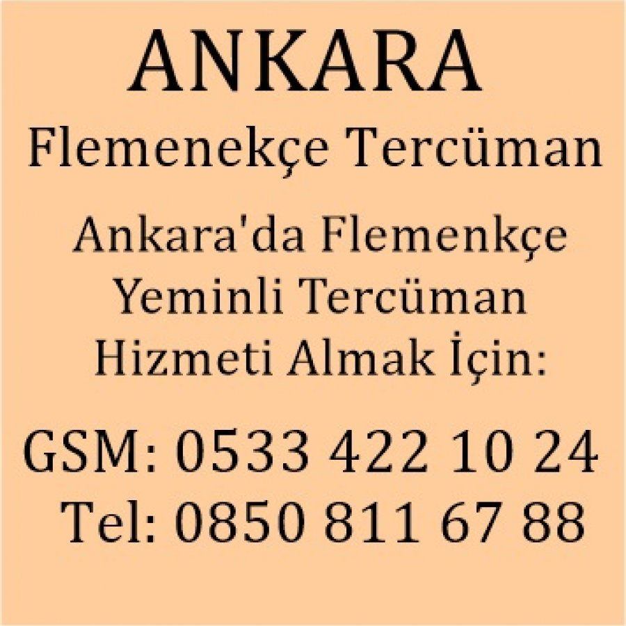 Flemenkce Çevirmen Ankara
