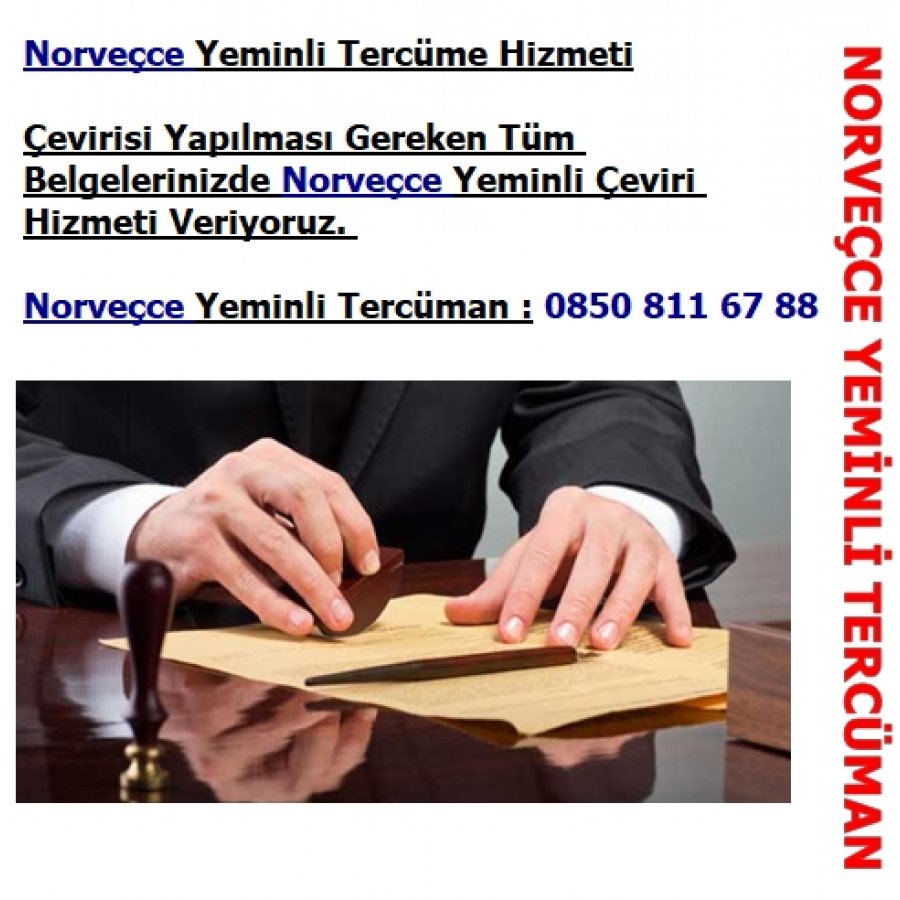 Norveçce Yeminli Tercüme Hizmeti